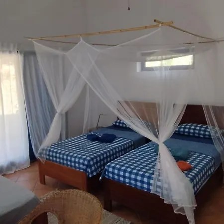 Casa Saude Bed & Breakfast Seladinha Exterior photo